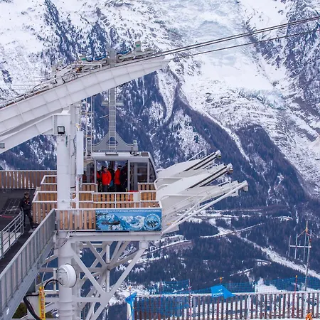 Sud - Jonquilles 138 - Happy *