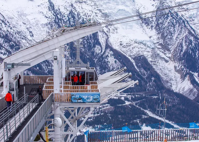 Sud - Jonquilles 138 - Happy *